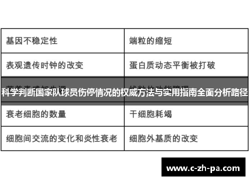 科学判断国家队球员伤停情况的权威方法与实用指南全面分析路径